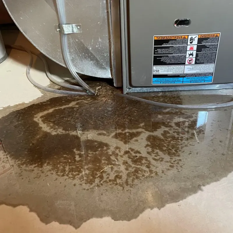 Pipe Burst and Leak Restoration in Cordaville, MA